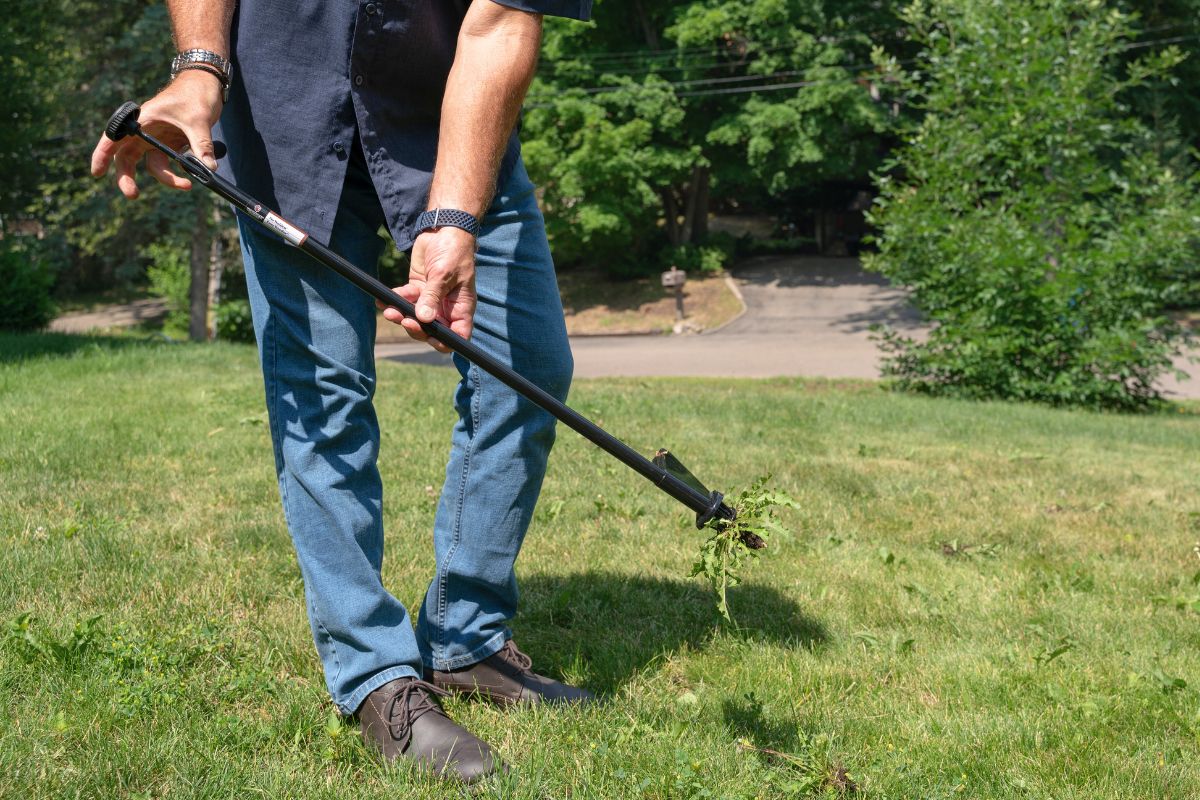Weeding Made Easy: Using The Weed Hound™