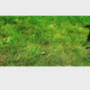 simply step down, pull out, and press the knob to remove weeds